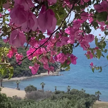 Sevinc Papatya House Villa Milas