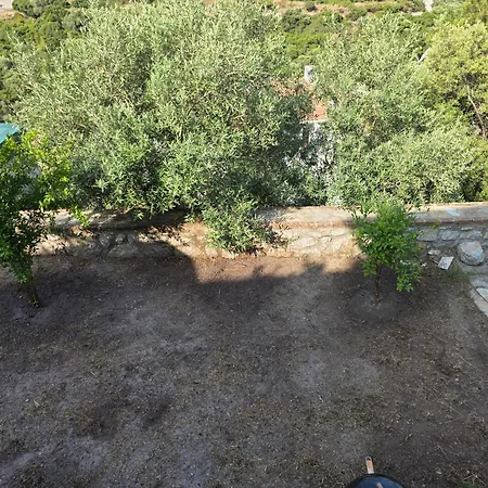 Sevinc Papatya House