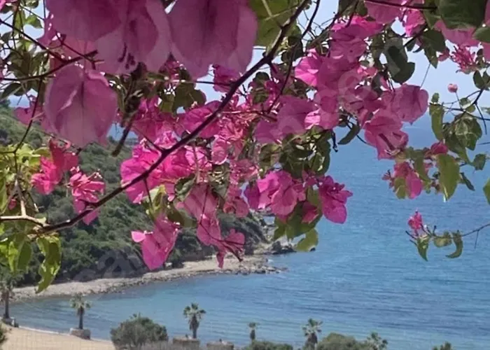 Sevinc Papatya House Villa Milas