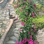 Sevinc Papatya House Milas