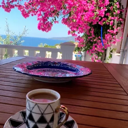 Sevinc Papatya House * Milas