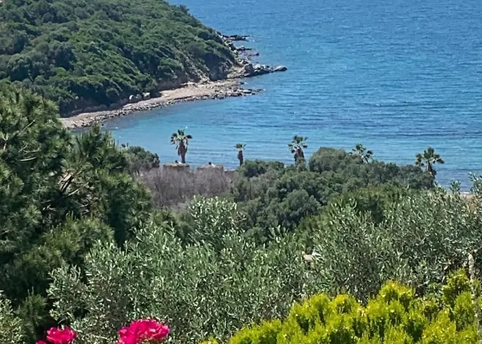 וילה Sevinc Papatya House Milas