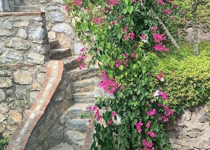 וילה Sevinc Papatya House *